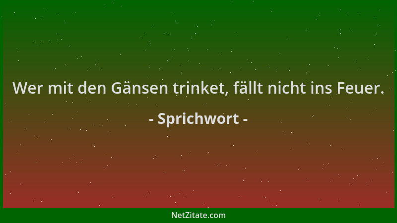 Sprichwort - Wer mit den Gänsen trinket, fällt nicht ins Feuer....