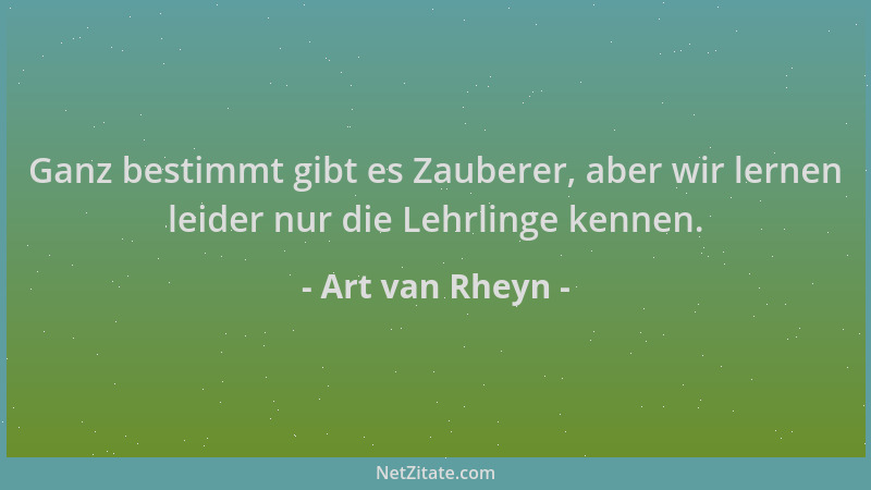 Art van Rheyn - Ganz bestimmt gibt es Zauberer, aber wir lernen leider nur die Lehrlinge kennen....