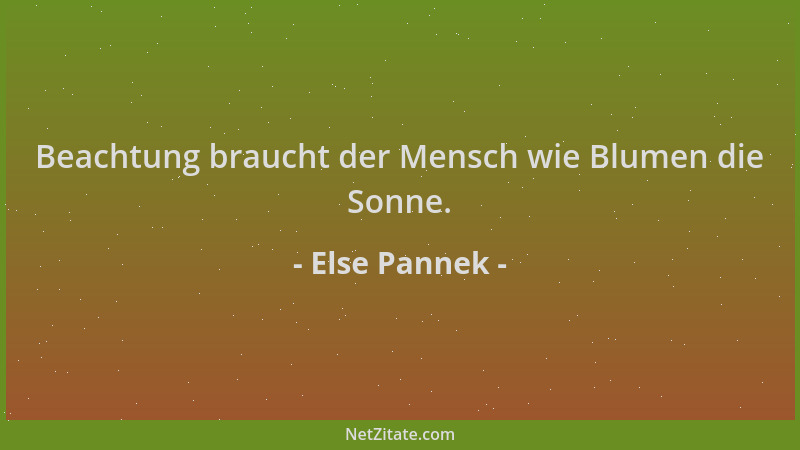 Else Pannek - Beachtung braucht der Mensch wie Blumen die Sonne....