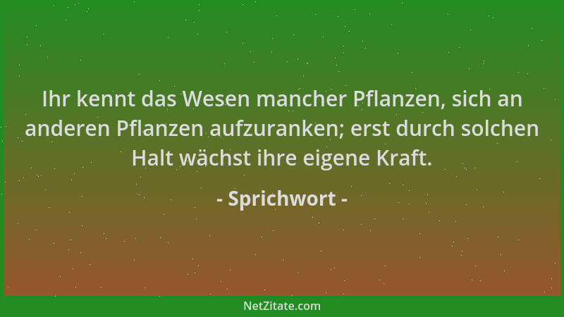 Sprichwort - Ihr kennt das Wesen mancher Pflanzen, sich an anderen Pflanzen aufzuranken; erst durch solchen Halt wächst ihr...