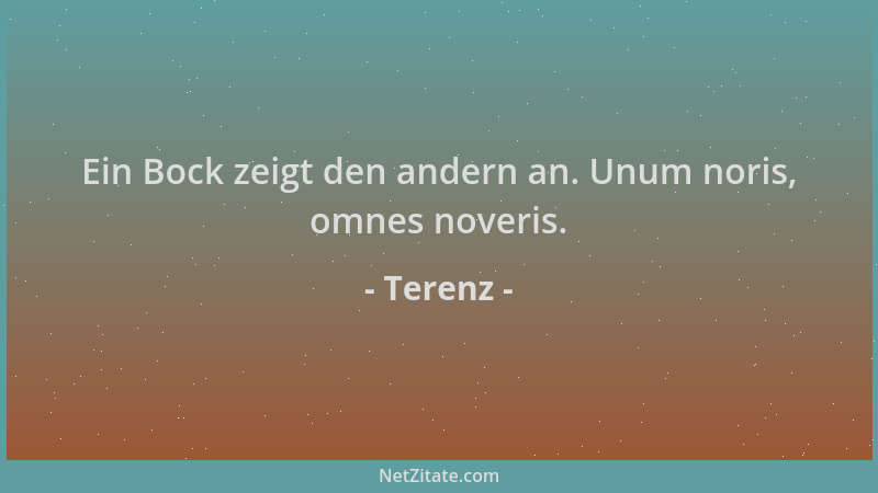 Terenz - Ein Bock zeigt den andern an. Unum noris, omnes noveris....
