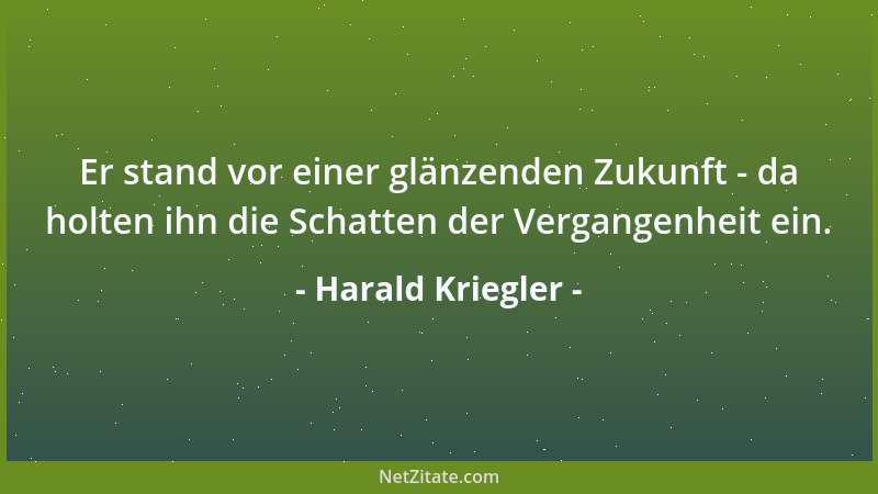 Harald Kriegler - Er stand vor einer glänzenden Zukunft - da holten ihn die Schatten der Vergangenheit ein....