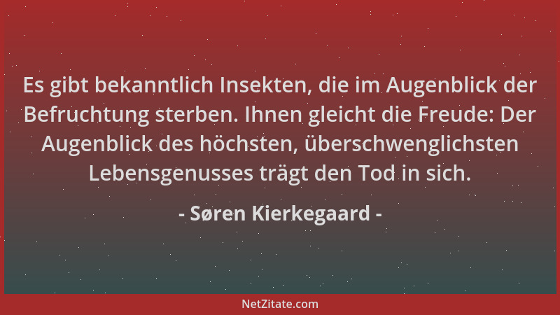 Søren Kierkegaard - Es gibt bekanntlich Insekten, die im Augenblick der Befruchtung sterben. Ihnen gleicht die Freude: Der...