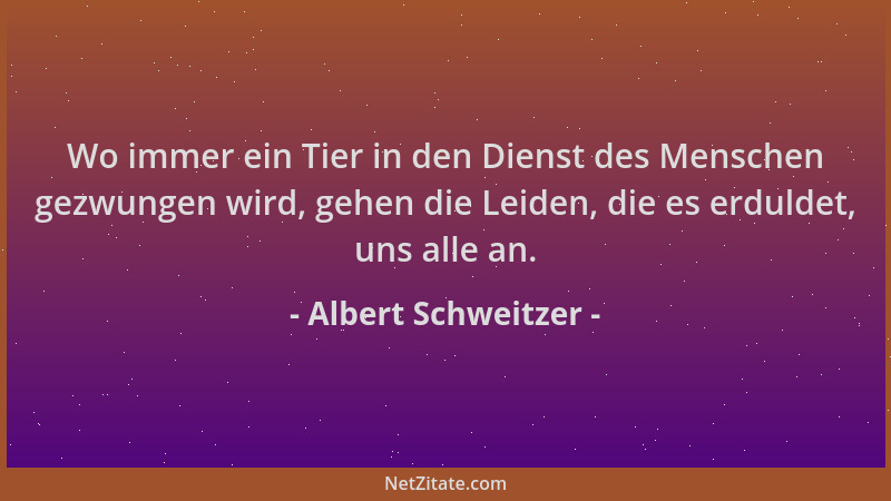 Albert Schweitzer - Wo immer ein Tier in den Dienst des Menschen gezwungen wird, gehen die Leiden, die es erduldet, uns all...