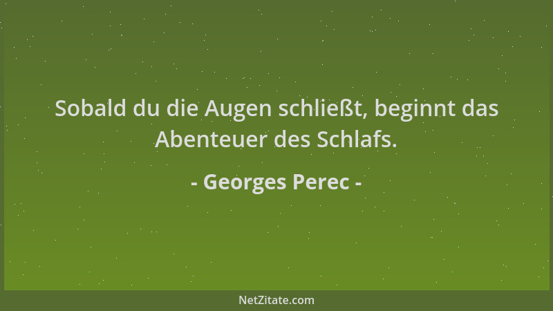 Georges Perec - Sobald du die Augen schließt, beginnt das Abenteuer des Schlafs....