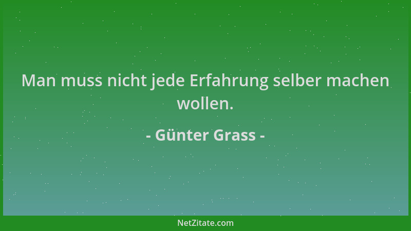 Günter Grass - Man muss nicht jede Erfahrung selber machen wollen....