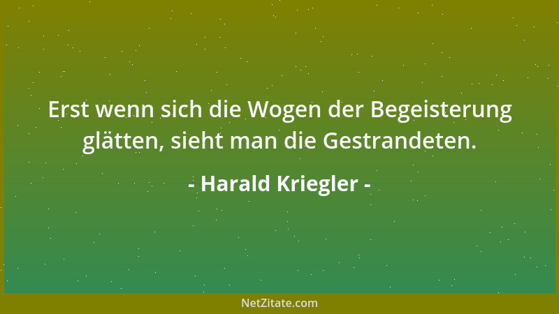 Harald Kriegler - Erst wenn sich die Wogen der Begeisterung glätten, sieht man die Gestrandeten....