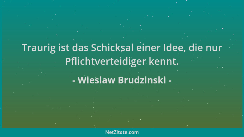 Wieslaw Brudzinski - Traurig ist das Schicksal einer Idee, die nur Pflichtverteidiger kennt....