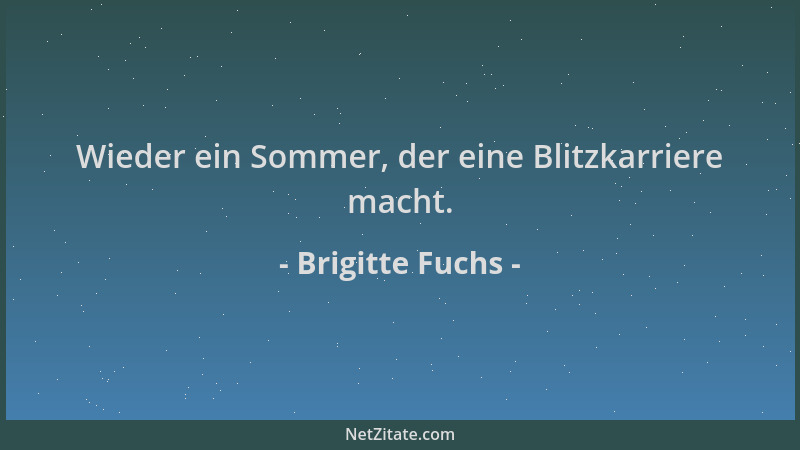 Brigitte Fuchs - Wieder ein Sommer, der eine Blitzkarriere macht....