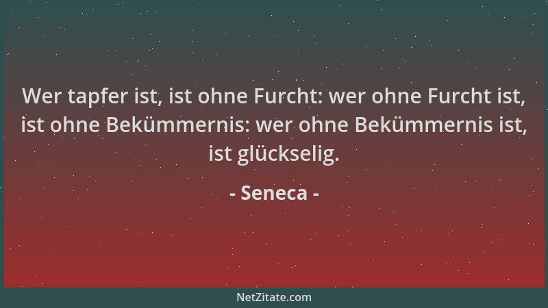 Seneca - Wer tapfer ist, ist ohne Furcht: wer ohne Furcht ist, ist ohne Bekümmernis: wer ohne Bekümmernis ist, ist glücksel...