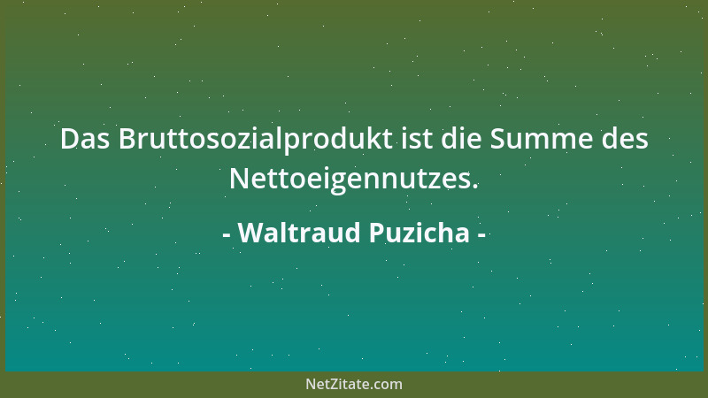 Waltraud Puzicha - Das Bruttosozialprodukt ist die Summe des Nettoeigennutzes....