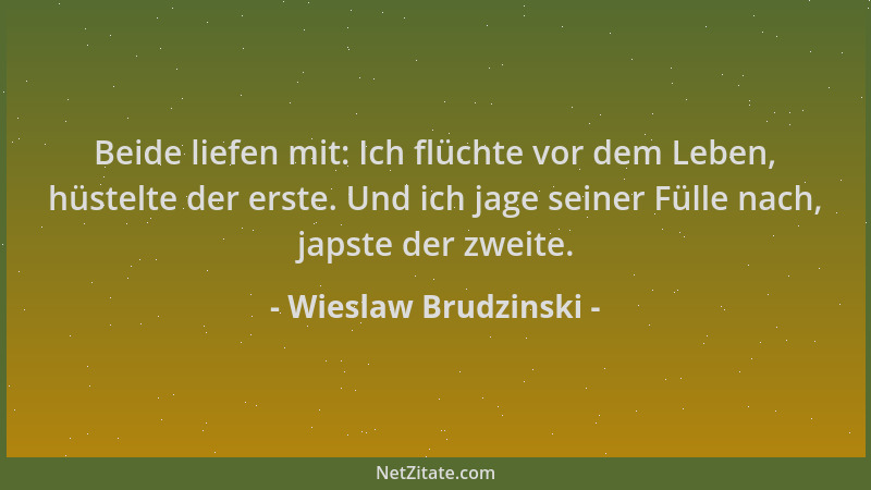 Wieslaw Brudzinski - Beide liefen mit: Ich flüchte vor dem Leben, hüstelte der erste. Und ich jage seiner Fülle nach, japst...