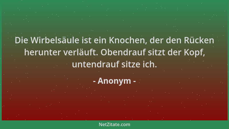 Anonym - Die Wirbelsäule ist ein Knochen, der den Rücken herunter verläuft. Obendrauf sitzt der Kopf, untendrauf sitze ich....