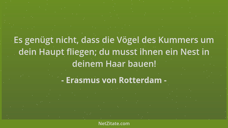 Erasmus von Rotterdam - Es genügt nicht, dass die Vögel des Kummers um dein Haupt fliegen; du musst ihnen ein Nest in deine...