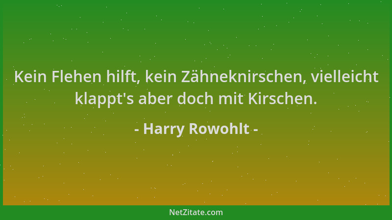 Harry Rowohlt - Kein Flehen hilft, kein Zähneknirschen, vielleicht klappt 's aber doch mit Kirschen....