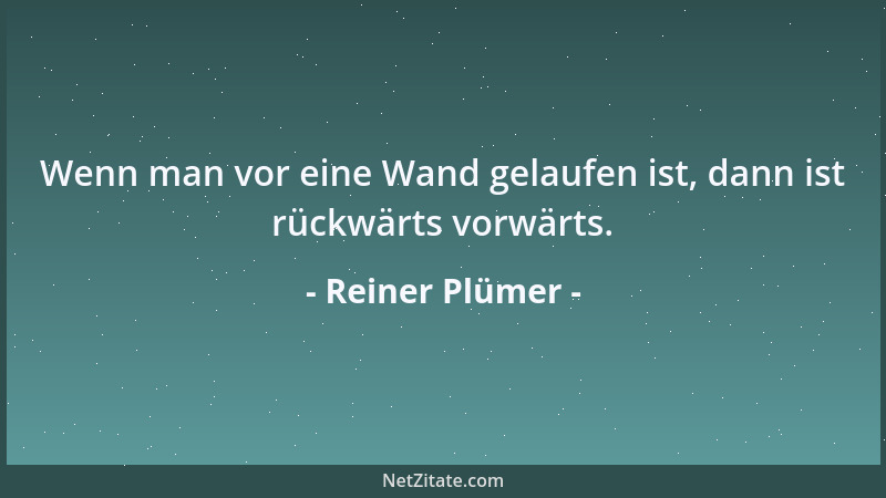Reiner Plümer - Wenn man vor eine Wand gelaufen ist, dann ist rückwärts vorwärts....