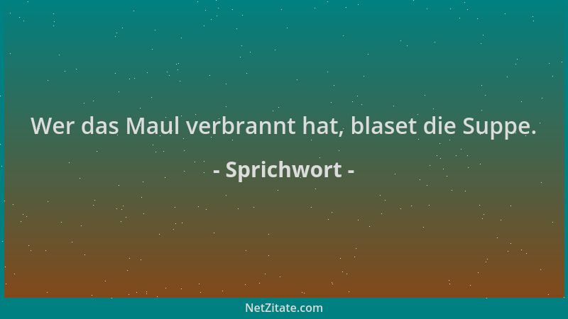Sprichwort - Wer das Maul verbrannt hat, blaset die Suppe....