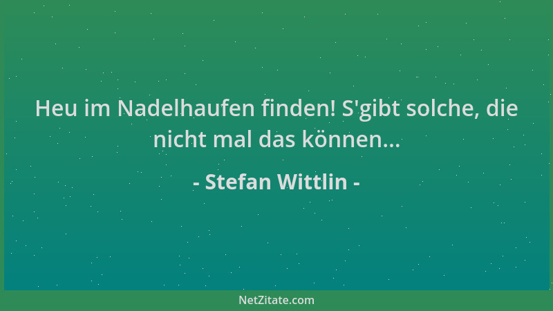Stefan Wittlin - Heu im Nadelhaufen finden! S 'gibt solche, die nicht mal das können......