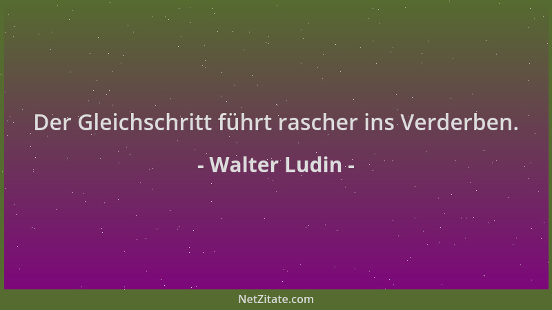Walter Ludin - Der Gleichschritt führt rascher ins Verderben....