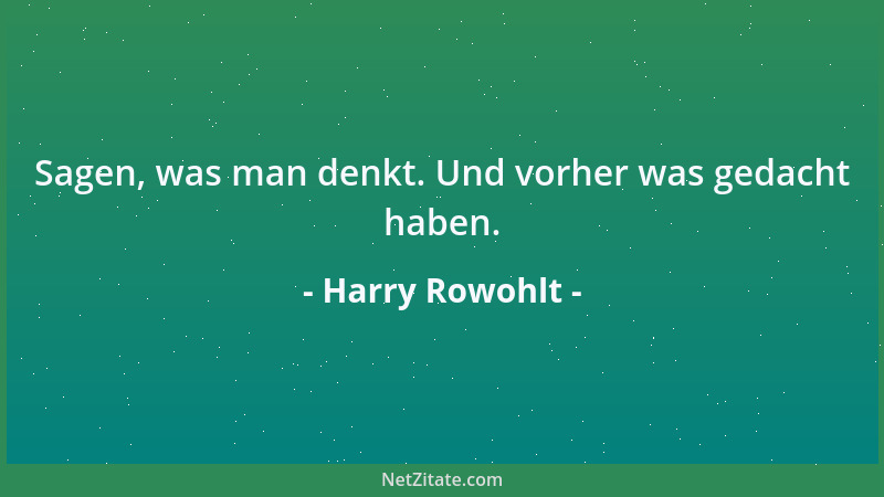 Harry Rowohlt - Sagen, was man denkt. Und vorher was gedacht haben....
