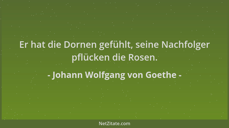 Johann Wolfgang von Goethe - Er hat die Dornen gefühlt, seine Nachfolger pflücken die Rosen....