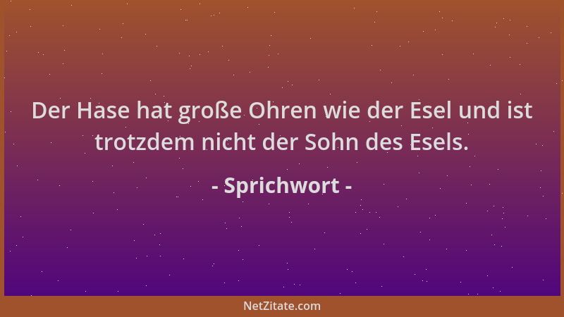 Sprichwort - Der Hase hat große Ohren wie der Esel und ist trotzdem nicht der Sohn des Esels....