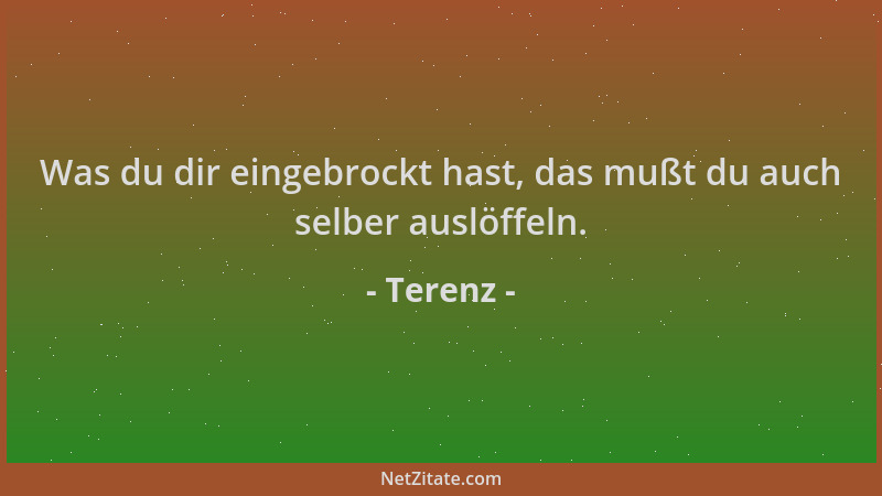Terenz - Was du dir eingebrockt hast, das mußt du auch selber auslöffeln....