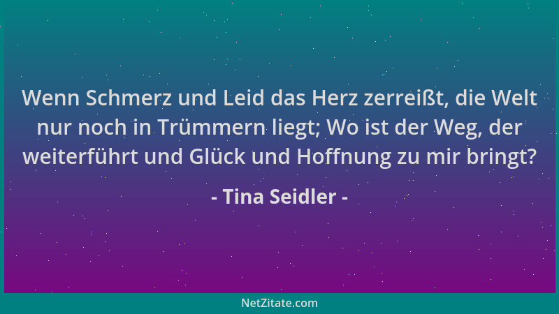 Tina Seidler - Wenn Schmerz und Leid das Herz zerreißt, die Welt nur noch in Trümmern liegt; Wo ist der Weg, der weiterführ...