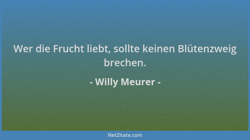 Willy Meurer - Wer die Frucht liebt, sollte keinen Blütenzweig brechen....