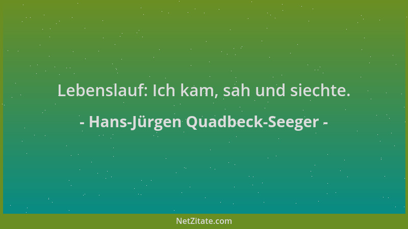 Hans-Jürgen Quadbeck-Seeger - Lebenslauf: Ich kam, sah und siechte....