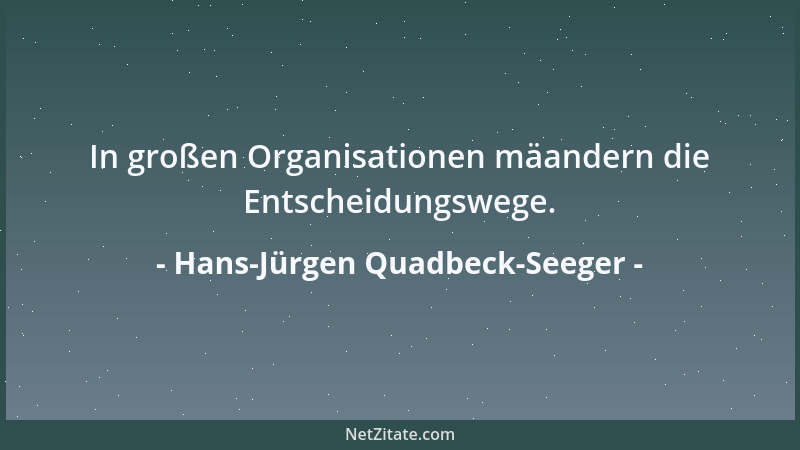 Hans-Jürgen Quadbeck-Seeger - In großen Organisationen mäandern die Entscheidungswege....