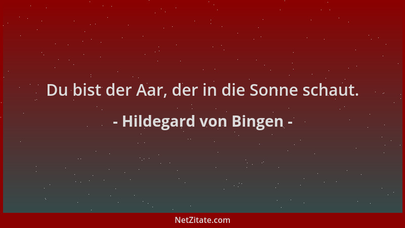 Hildegard von Bingen - Du bist der Aar, der in die Sonne schaut....