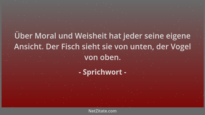 Sprichwort - Über Moral und Weisheit hat jeder seine eigene Ansicht. Der Fisch sieht sie von unten, der Vogel von oben....