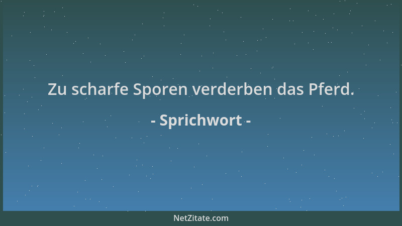 Sprichwort - Zu scharfe Sporen verderben das Pferd....