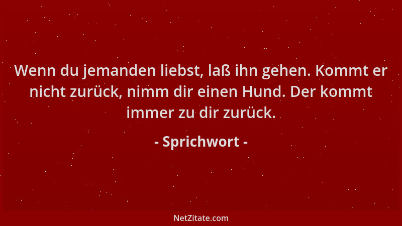 Sprichwort - Wenn du jemanden liebst, laß ihn gehen. Kommt er nicht zurück, nimm dir einen Hund. Der kommt immer zu dir zur...