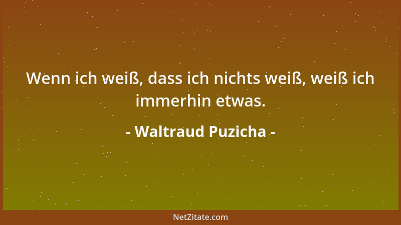 Waltraud Puzicha - Wenn ich weiß, dass ich nichts weiß, weiß ich immerhin etwas....