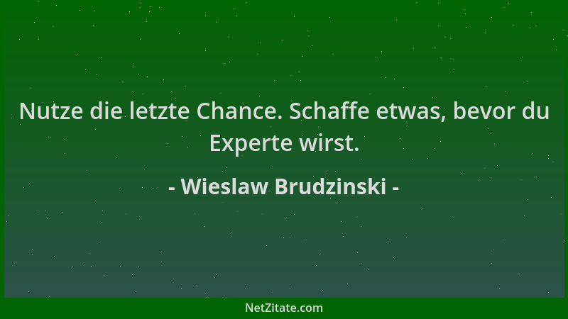 Wieslaw Brudzinski - Nutze die letzte Chance. Schaffe etwas, bevor du Experte wirst....