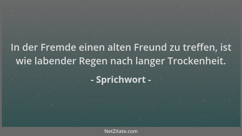 Sprichwort - In der Fremde einen alten Freund zu treffen, ist wie labender Regen nach langer Trockenheit....