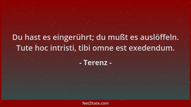 Terenz - Du hast es eingerührt; du mußt es auslöffeln. Tute hoc intristi, tibi omne est exedendum....
