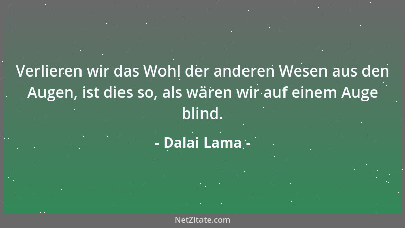 Dalai Lama - Verlieren wir das Wohl der anderen Wesen aus den Augen, ist dies so, als wären wir auf einem Auge blind....