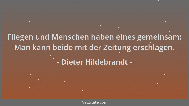 Dieter Hildebrandt - Fliegen und Menschen haben eines gemeinsam: Man kann beide mit der Zeitung erschlagen....