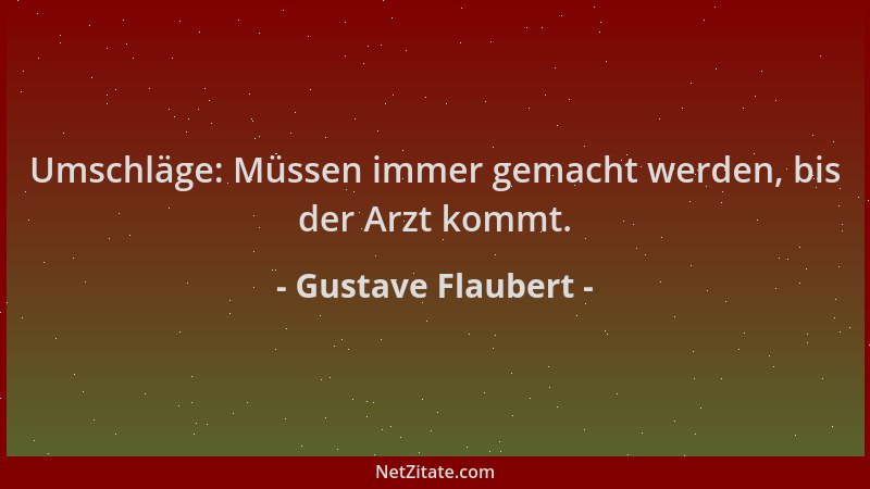 Gustave Flaubert - Umschläge: Müssen immer gemacht werden, bis der Arzt kommt....