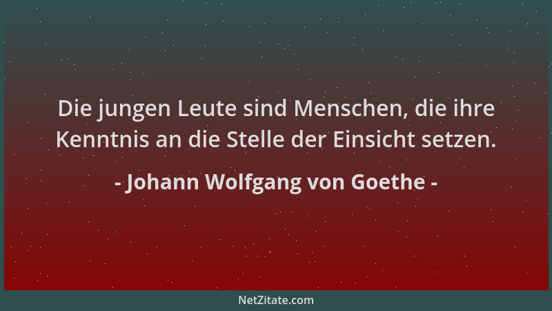 Johann Wolfgang von Goethe - Die jungen Leute sind Menschen, die ihre Kenntnis an die Stelle der Einsicht setzen....