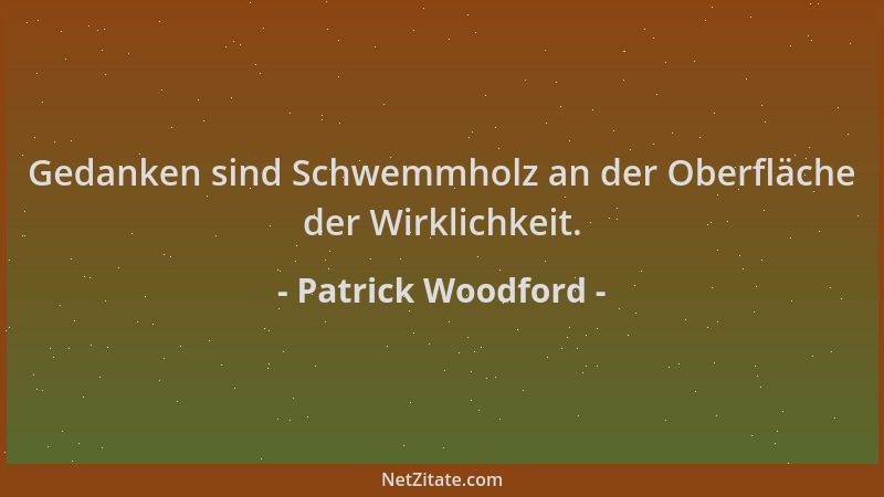 Patrick Woodford - Gedanken sind Schwemmholz an der Oberfläche der Wirklichkeit....