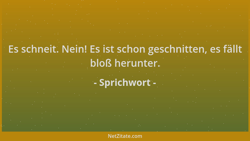 Sprichwort - Es schneit. Nein! Es ist schon geschnitten, es fällt bloß herunter....