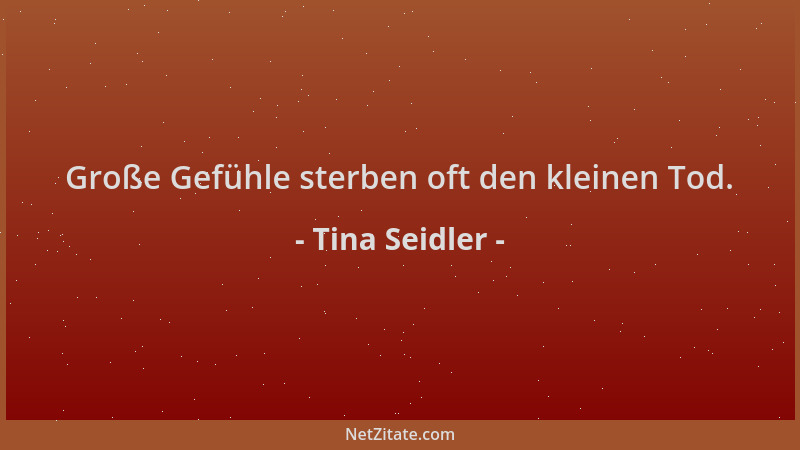 Tina Seidler - Große Gefühle sterben oft den kleinen Tod....
