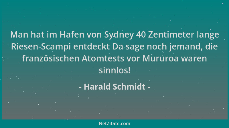 Harald Schmidt - Man hat im Hafen von Sydney 40 Zentimeter lange Riesen-Scampi entdeckt Da sage noch jemand, die französisc...