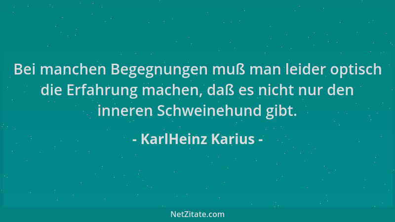 KarlHeinz Karius - Bei manchen Begegnungen muß man leider optisch die Erfahrung machen, daß es nicht nur den inneren Schwei...