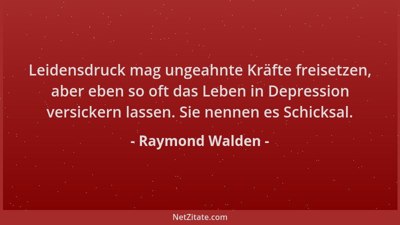 Raymond Walden - Leidensdruck mag ungeahnte Kräfte freisetzen, aber eben so oft das Leben in Depression versickern lassen....