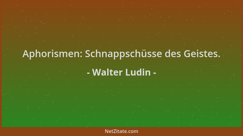Walter Ludin - Aphorismen: Schnappschüsse des Geistes....